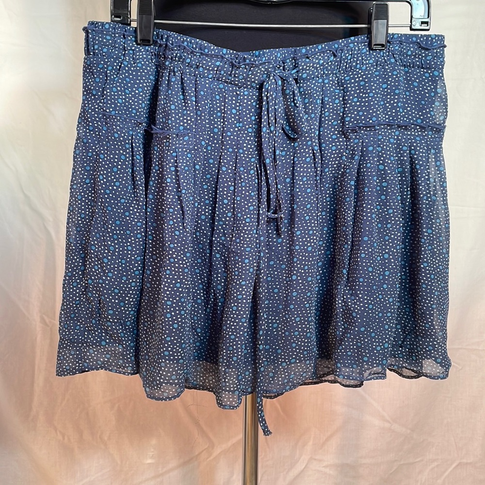 NWT AE sheer skirt with full underskirt.